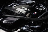 Kies-Motorsports AMS AMS Performance 15-18 BMW M3 / 15-20 BMW M4 w/ S55 3.0L Turbo Engine Carbon Fiber Intake